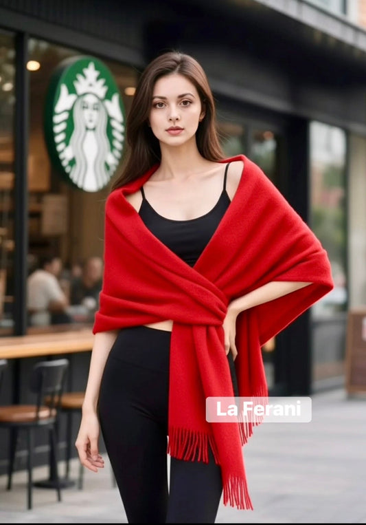 Mein Erlebnis mit dem La Ferani Damen Kaschmirschal – Paris, 27.08.2025